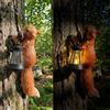 YZYOE LED Solar Squirrel Lantern, Garden Decoration Resin Cute Squirrel Animal Wall Hanging Lamp, Wireless Twilight to Dawn LED Lights sono impermeabili.