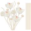 LEIMEND Diffusore di Fragranze per Ambienti 22 Pezzi Bastoncini per Diffusori di Aromi in Legno di Rattan Bastoncini per Diffusori in Legno per Il Fai da Te Bastoncini di Ricambio