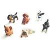 BELTI 6pcs 1:12 casa delle Bambole Gatto e Cane Modello in Miniatura casa delle Bambole Decorazione Muschio casa