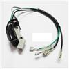 DKKU8II ET950 ET650 IE45 TG950 Bobina di accensione magnetica integrata Accenditore for generatore TIGER 450W 650W 800W 950W 1000W 2 tempi(1pc)