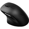 Rapoo Mouse wireless (compatto, wireless, Bluetooth, USB A, DPI 3600, 34 pulsanti, silenzioso, mouse, mouse, ottico) nero