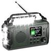 BIAOQINBO 20000mAh Radio Solare a Manovella con Bluetooth DAB/FM,Torcia & Luce da Lettura,Caricatore USB per Telefono, Allarme SOS,Scheda TF,Jack per Cuffie,Radio Portatile per Emergenze da Campeggio ed Esterni