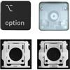 CTBDZ Tappo chiave individuale con cerniera di ricambio per (M1 M2) MacBook Pro A2141 A2251 A2289 A2338 A2442 A2485, sostituisce per MacBook Air A2179 A2337 A2681 Keycap (tasto destro opzionale)