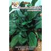 acquaverde Semi - Valeriana D'Olanda A Seme Grosso Sementi Insalata Verde
