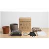 I GIARDINI DI GIULIA - Kit Rinvaso Completo per Piante Verdi da Interno 7 Accessori con Coprivaso Design 20cm Facile per Principianti (Vaso tortora)