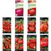 Nojaus Sėklos Nojus Semi di pomodoro Set di semi - 20 varietà - Vari semi di pomodoro Kit di avviamento - 20 confezioni - Semi da giardino Piante Semi BIOLOGICI - Semi Scatola di verdure - Scatola di semi