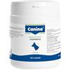 Canina Pharma KRÄUTER-Doc Atemwege 300 g