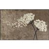 Salonloewe Wishfull Blossom - Zerbino lavabile, 75 x 120 cm, motivo: fiori di tortora