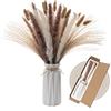 Wemk Erba Della Pampas Decorative con Vaso Incluso, 44 Pezzi Set di pampa Naturale bianche e marroni, erbe di canna, code di coniglio, Decorativi per Matrimoni, Feste, Boho Decor