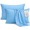 DEGREES HOME Federa per Cuscino in Microfibra Extra Morbida e Traspirante - Set da 2 Federe Anallergiche e Antipiega - Misura 80 x 80 cm