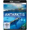 4K Content Hub / Lighthouse Home Enterta Antarktis - Leben am Limit (4K Ultra HD) [Edizione: Germania]