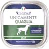 Generico Umido Unipro Cane Unicamente Quaglia, alimento completo monoproteico per cani adulti di tutte le taglie e razze | 12 vaschette da 150 grammi l'una, 12x150gr.