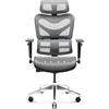 DIABLO V-Commander Sedia Ergonomica da Ufficio Scrivania Braccioli 3D Supporto Lombare Poggiatesta Tessuto a Rete Portata fino a 200 KG (Nero-Grigio)