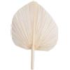 Nettoppo Foglie di Palma Essiccate Bianche - qualità Premium - 3 Pezzi Eleganti Decorazioni per La Casa e Il Matrimonio Boho Moderne - Wall Art
