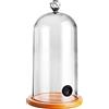 Ranuw Cloche in plastica per affumicare, coperchio per cucina molecolare con fori in gomma, base in legno per cocktail, torte, bevande, fumare, cloche, copertura a cupola in vetro