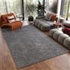 TAPISO Noyan Tappeto Salotto Moderno Pelo Corto Lavabile Antiscivolo Monocolore Tinta Unita tonalità Grigio Scuro Soggiorno Camera Sala Oeko-Tex 120 x 170 cm