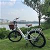 cysum Bicicletta Elettrica Cysum Cityrun 26" 250W 36V 10AH con Freno a Disco SHIMANO a 7 Velocità, 25km/h, Conforme UE, E-Bike da Città con Cestino