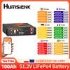 Humsienk Batteria al Litio LiFePO4 Humsienk 48V 100AH per Rack Server, Dimensione 3U con BMS 100A Bluetooth per Inverter, Camper, Furgoni, Energia Solare