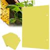 Joyan Trappola Adesiva, 20 Pezzi 30 x 25 CM Trappole Adesive per Insetti, Dual-Side trappole Adesivo Giallo per Mosca Bianca, Mosca della Frutta, Afidi, Minatori Fogliari (Fascette Incluse)