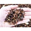 Geosism & Nature Corteccia di larice rossa portoghese 5/15 mm (1 kg - c.ca 5 lt)