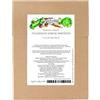 Magic Garden Seeds Rarità di ortaggi italiani - set di semi con 15 varietà aromatiche della cucina italiana