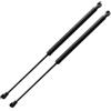 IFHSKFH Molle A Gas Cappa Per Lexus IS250 IS300 IS350 IS F 2005-2013 Cofano Anteriore Molla A Gas Struts Auto Ascensore Supporta Ammortizzatori 2 Pezzi Ammortizzatori Cofano Motore