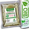 KIRANDIA Baby KOMBUCHA FRESCO, SCOBY KOMBUCHA - Con Registro Sanitario (RGSEAA) - Crea il Tuo Tè Biologico Kombucha a Casa