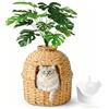 Klippehop Lettiera per gatti nascosta per piante, in rattan sintetico intrecciato a mano, mobili per gatti in vimini, per interni, soggiorno, camera da letto, balcone, porta quadrata