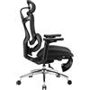 SIHOO Sedia da ufficio ergonomica supporto lombare dinamico, braccioli 3D schienale regolabile, poggiapiedi per un comfort ottimale, sedia scrivania domestico, Doro C300,2 Pacchi, Nero(150kg)