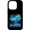 Alaska State US National Park Alaskan AK Custodia per iPhone 14 Pro Alaska Lights Aurora Borealis Visualizzazione delle vacanze in Alaska