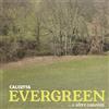 Calcutta Evergreen... E Altre Canzoni (CD)