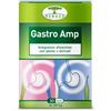 VIPROF DUE GASTRO AMP 30CPS