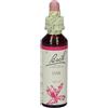 Schwabe Pharma Italia Srl Oak Bach Orig 20 ml Gocce orali