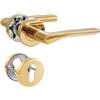 SORWDUERM Set di maniglie per porta in oro spazzolato opaco per porta d'ingresso e porta interna a forma di L rotonda rosetta, PZ - Profilzylinder