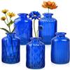 ELEGANTTIME Vaso in vetro blu cobalto con manico in filo di sughero, design per bar, tavolo da ufficio, casa e giardino (set da 5)