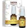 Dr. Giorgini SALVIA QUINTESSENZA SPRAY 15 ML