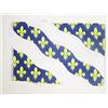 AZ FLAG BANDIERA YVELINES 45x30cm - BANDIERINA DIPARTIMENTO FRANCESE - FRANCIA 30 x 45 cm cordicelle - AZ FLAG