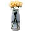 CiciIng Vaso di vetro per fiori, vaso di vetro trasparente moderno Ins, vaso di vetro alto 22 CM per la decorazione della tavola, vasi decorativi per erba di pampa, tulipani, orchidee, rose (grigio fumo)