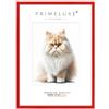 PrimeLuxe Cornice portafoto in legno, realizzata su misura, sottile, 50 x 60 cm, colore rosso lucido, dimensioni a scelta, con vetro acrilico antiriflesso, cornice per poster, puzzle, collage