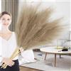 Duscdesp 110 cm, erba della pampa, grande, XXL, fiori secchi, pampa, erba, boho decorazione per vasi da pavimento, soggiorno, camera da letto, bagno, decorazione di nozze, 6 pezzi (marrone)