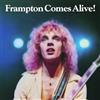 VIDOL Frampton Comes Alive