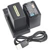 DSTE NP-FH100 Li-ion Batteria (2-Pacco) e Caricabatterie USB compatibile per Sony DCR-DVD403 DCR-DVD405E DCR-DVD406 DCR-DVD406E DCR-DVD407E