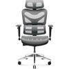 Diablo V-Commander Sedia ergonomica da ufficio Sedia direzionale Bracciolo 3D Supporto lombare Poggiatesta regolabile e sedile in rete Nero-Grigio