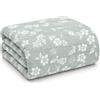 Vionara Home Trapuntino Copriletto Jacquard Double-Face, Matrimoniale 250x250 cm, Imbotittura 80gr/mq, Copriletto Trapuntato Bi-colore (Aurora - Verde)