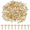 M METERXITY 200 Pcs Piccoli Chiodini, 2mm x 10mm Chiodi Di Precisione In Ottone Con Testa Tonda Per Legno/DIY Artigianato Decorativo/Accessori Per La Casa/Appendere Quadri