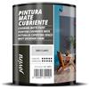 JOVIRA PINTURAS Pittura di copertura opaco. Pittura per interni ed esterni con eccellente potere coprente. (750 Millilitri, Grigio Chiaro)