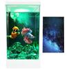 Générique Acquario Betta trasparente - Set completo di filtro e illuminazione a LED | Mini acquario da tavolo per pesci, combattenti, decorazione paesaggistica elegante per casa o ufficio