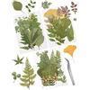 Cinvo 63 pezzi vere foglie secche pressate naturali assortite vegetazione secca con pinzetta per candele in resina, ciondolo per unghie, custodia per telefono Art Craft decorazioni fai da te