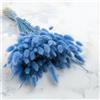 Enchanted Dekogras - Erba secca ornamentale a coda di coniglio, Lagurus Ovatus, erba di velluto, coniglio, fiori secchi, naturale, boho, 120 - 150 pezzi, 100 g, Azurro