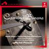 Michel Plasson Carmina Burana Dessay (CD)